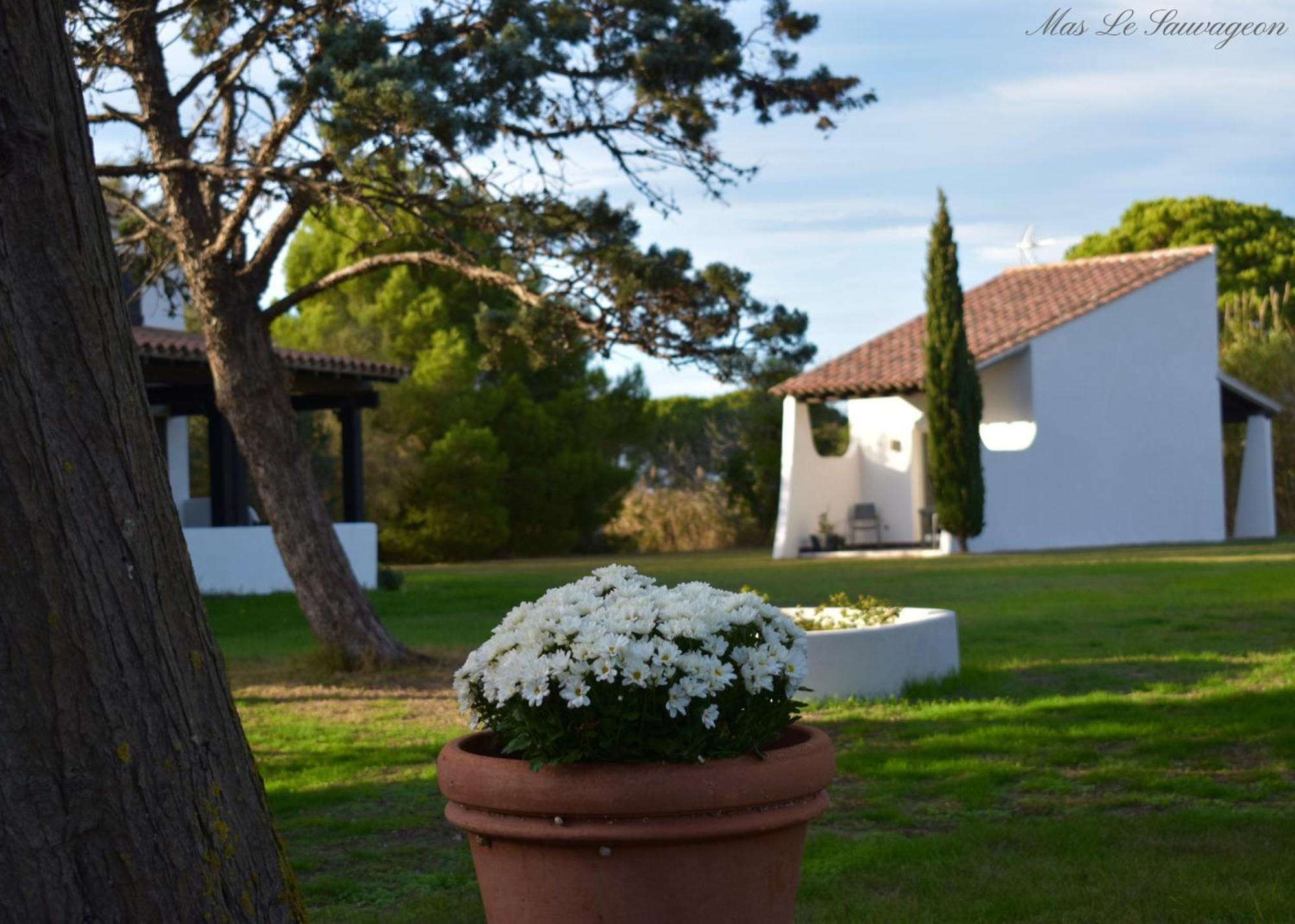 Mas Mls Hotel Saintes-Maries-de-la-Mer Bagian luar foto